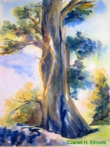 Sierra Tree Watercolor Painting