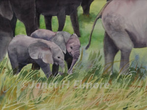 Elephant Twins Watercolor Painting