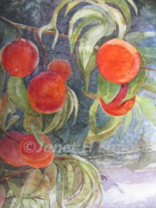 Ready to Eat Peaches Watercolor Painting