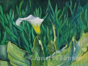 Coastal Lily Watercolor Painting