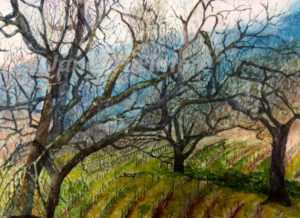 Winter Vineyard