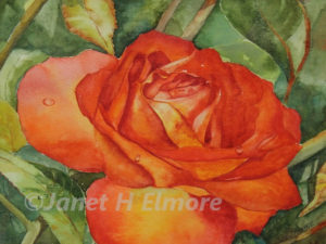 Amazing Rose Watercolor Painting