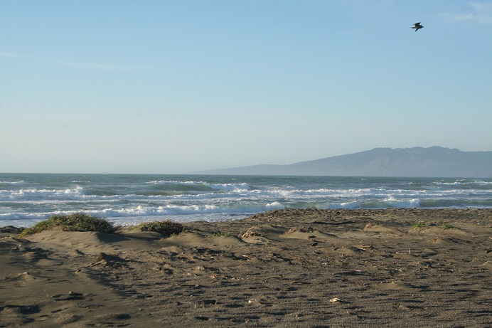 Beach at Salmon Creek Photo