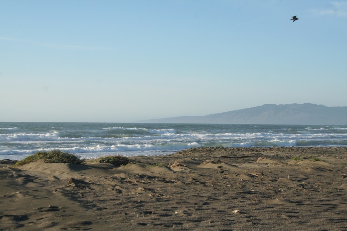 Beach at Salmon Creek Photo